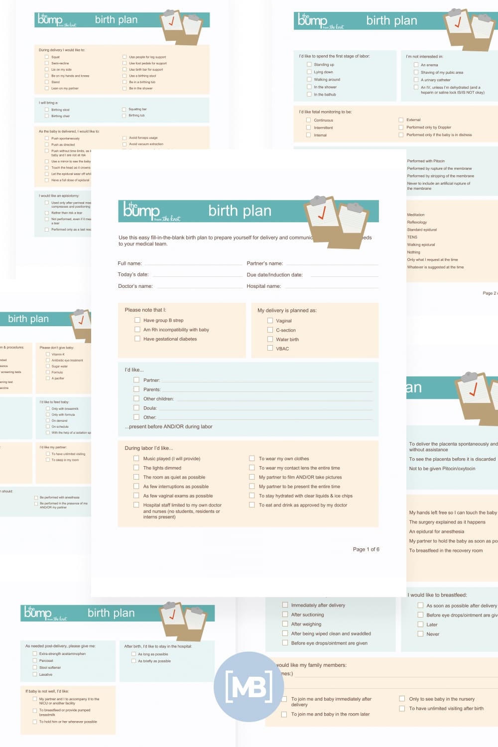 10 Best Birth Plan Templates For 2021 Best Free And Premium 