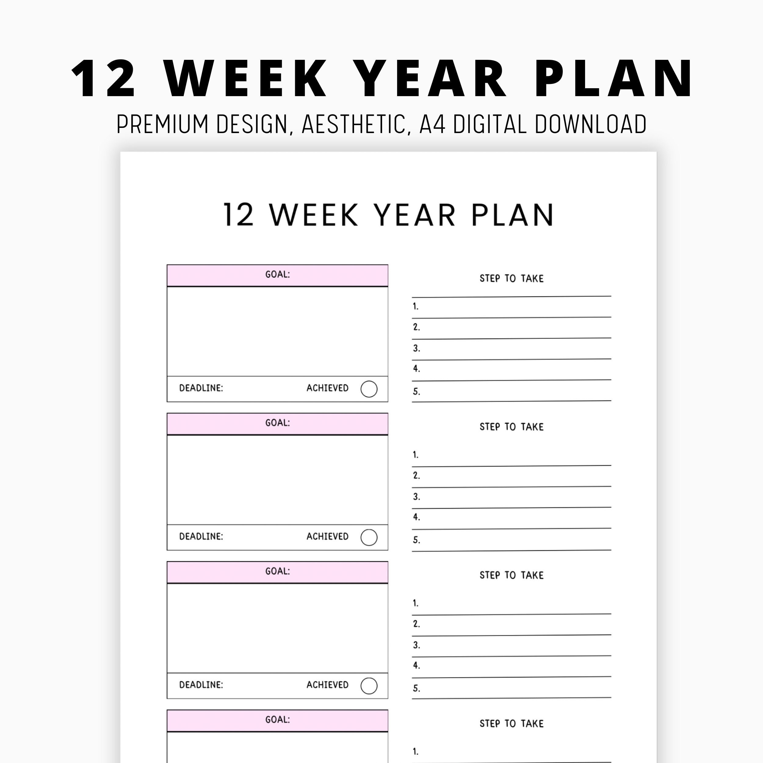 12 Week Year Planner Goal Planner Project Management System 