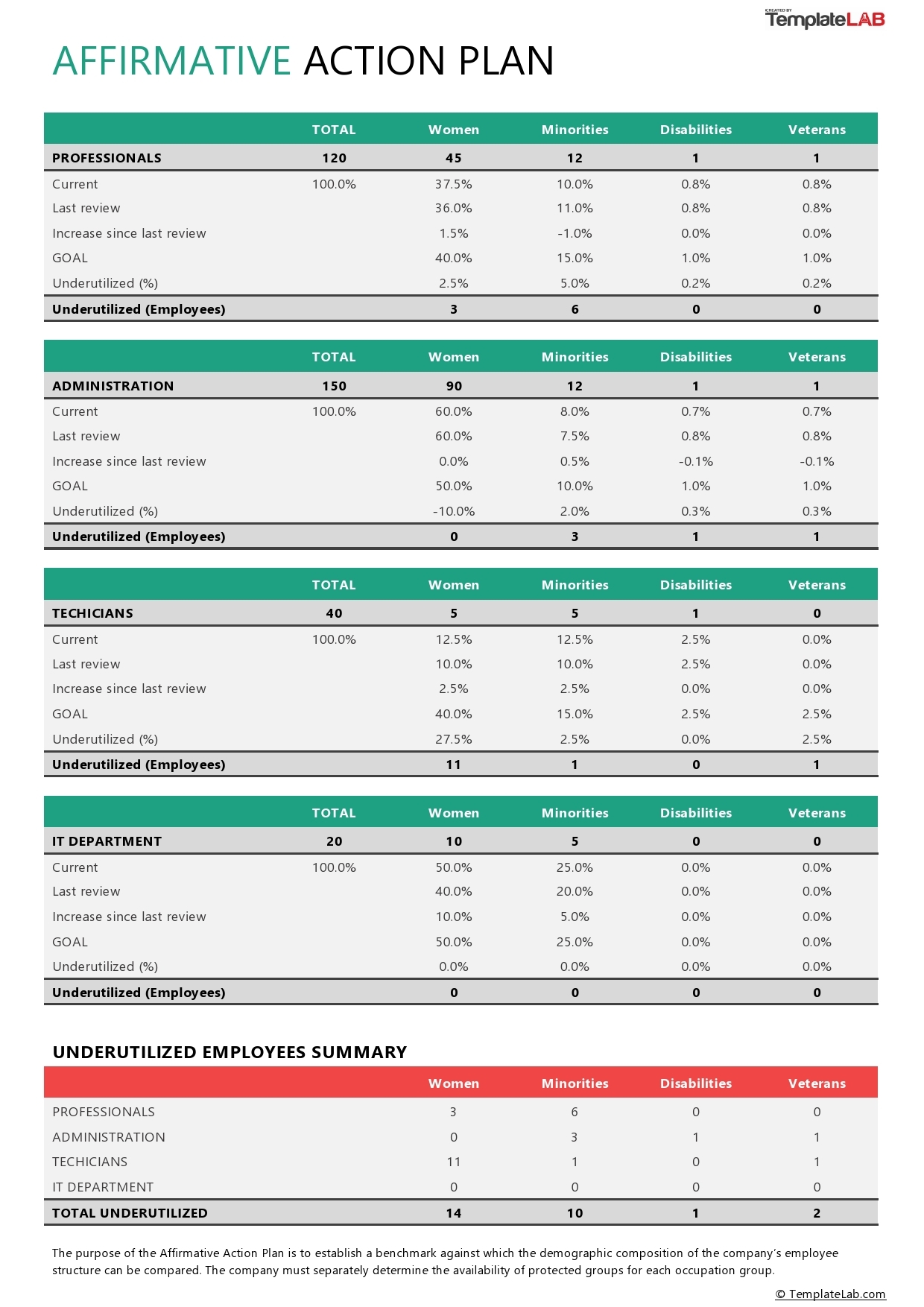 15 Free Action Plan Templates Corrective Emergency Business 