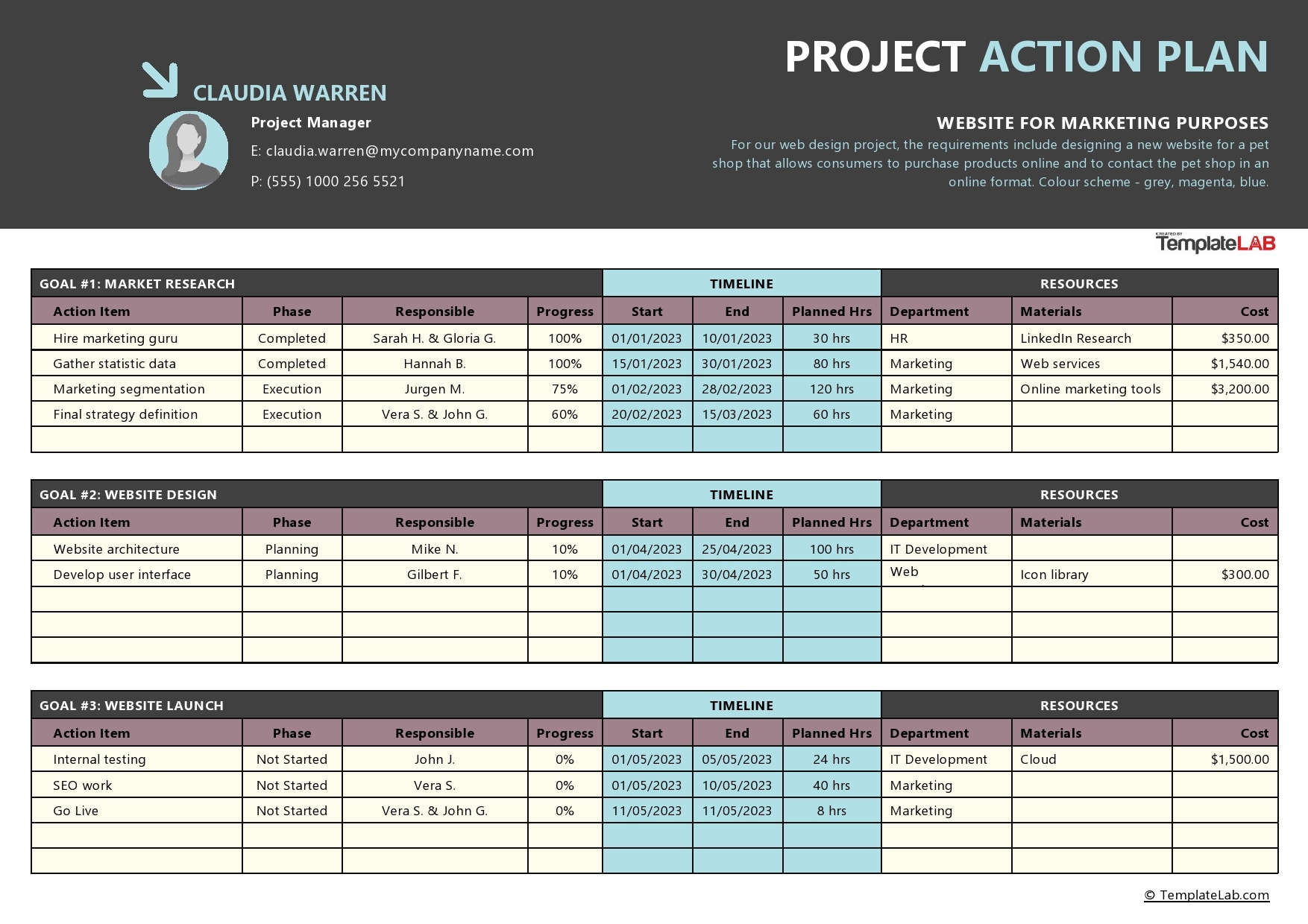15 Free Action Plan Templates Corrective Emergency Business 