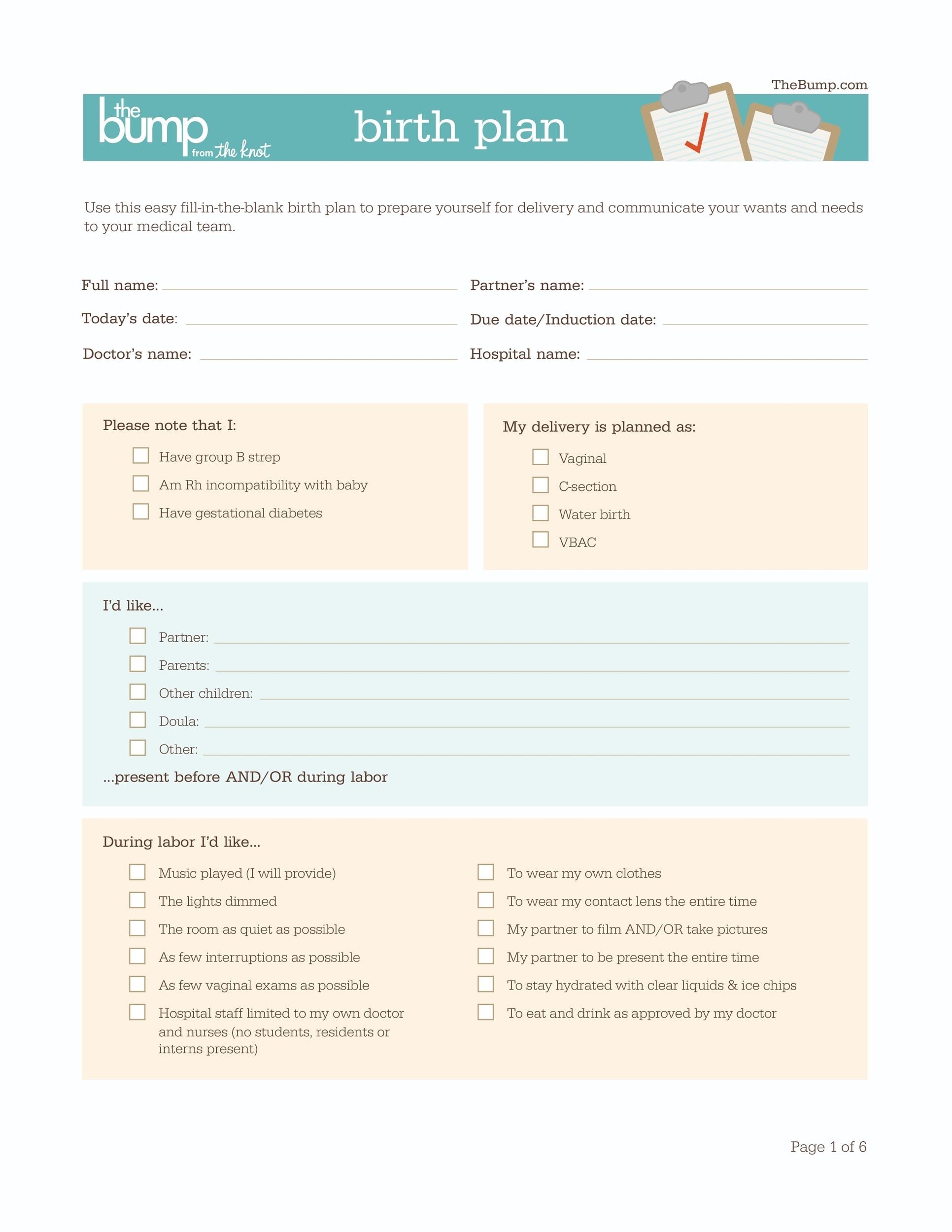 47 Printable Birth Plan Templates Birth Plan Checklist 