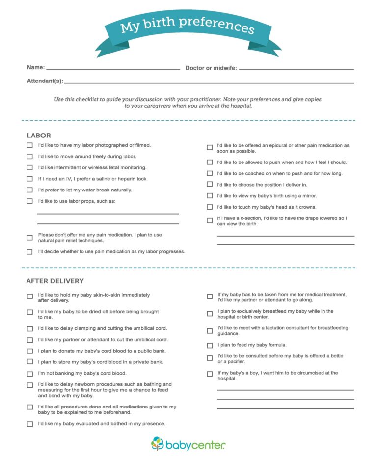 47 Printable Birth Plan Templates Birth Plan Checklist
