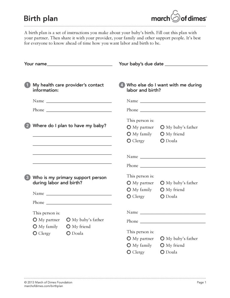 47 Printable Birth Plan Templates Birth Plan Checklist TemplateLab