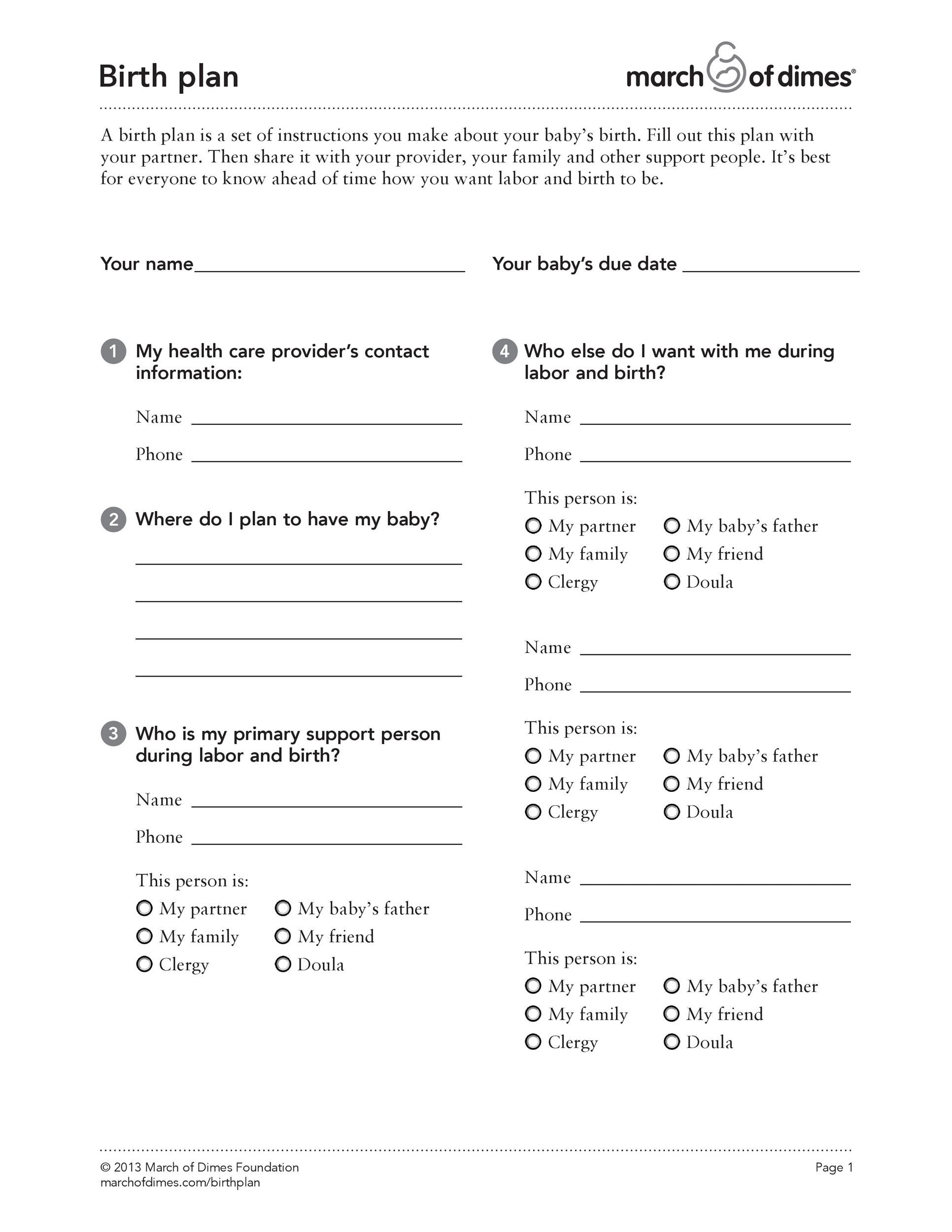 47 Printable Birth Plan Templates Birth Plan Checklist TemplateLab