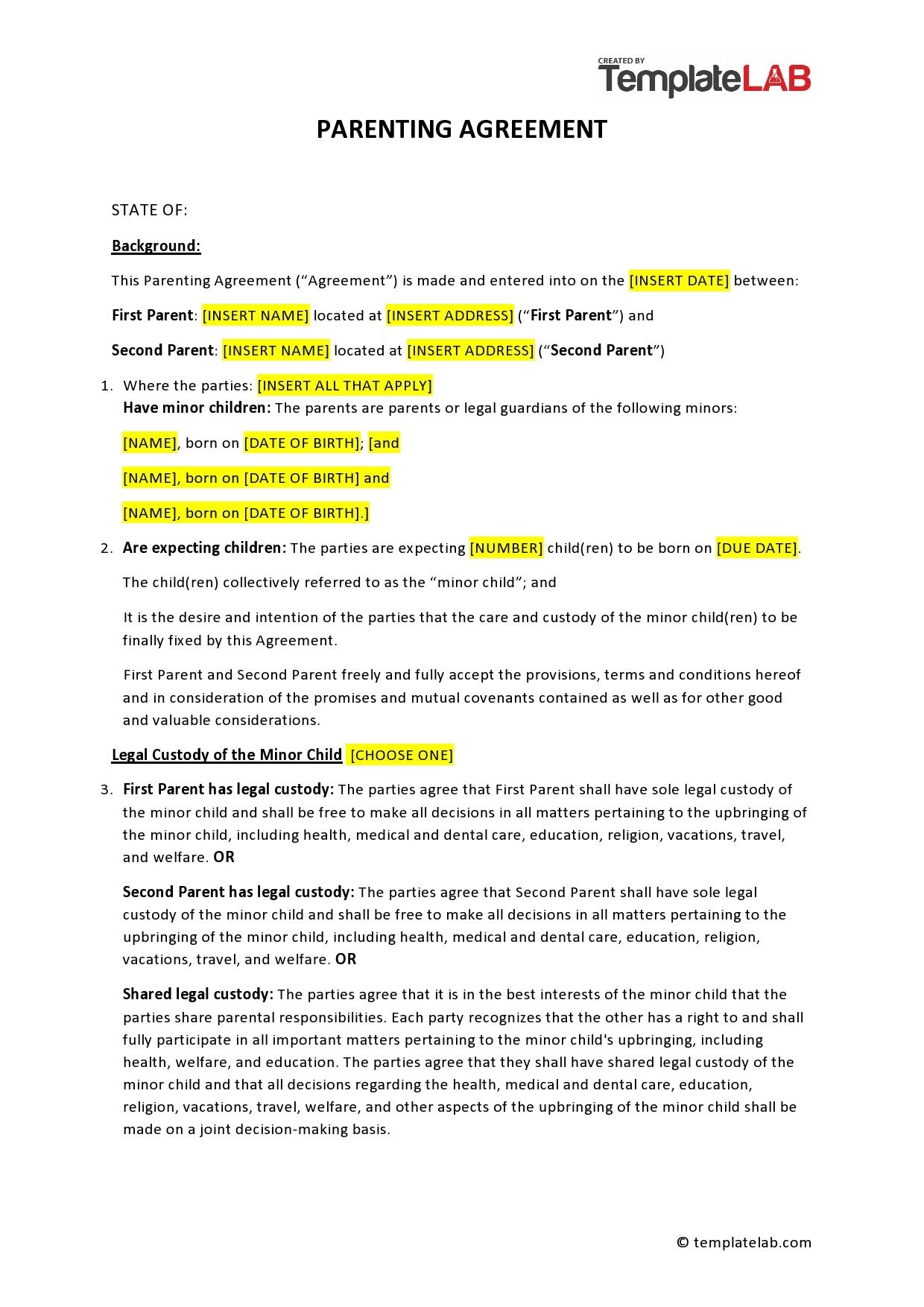 49 FREE Parenting Plan U0026 Custody Agreement Templates