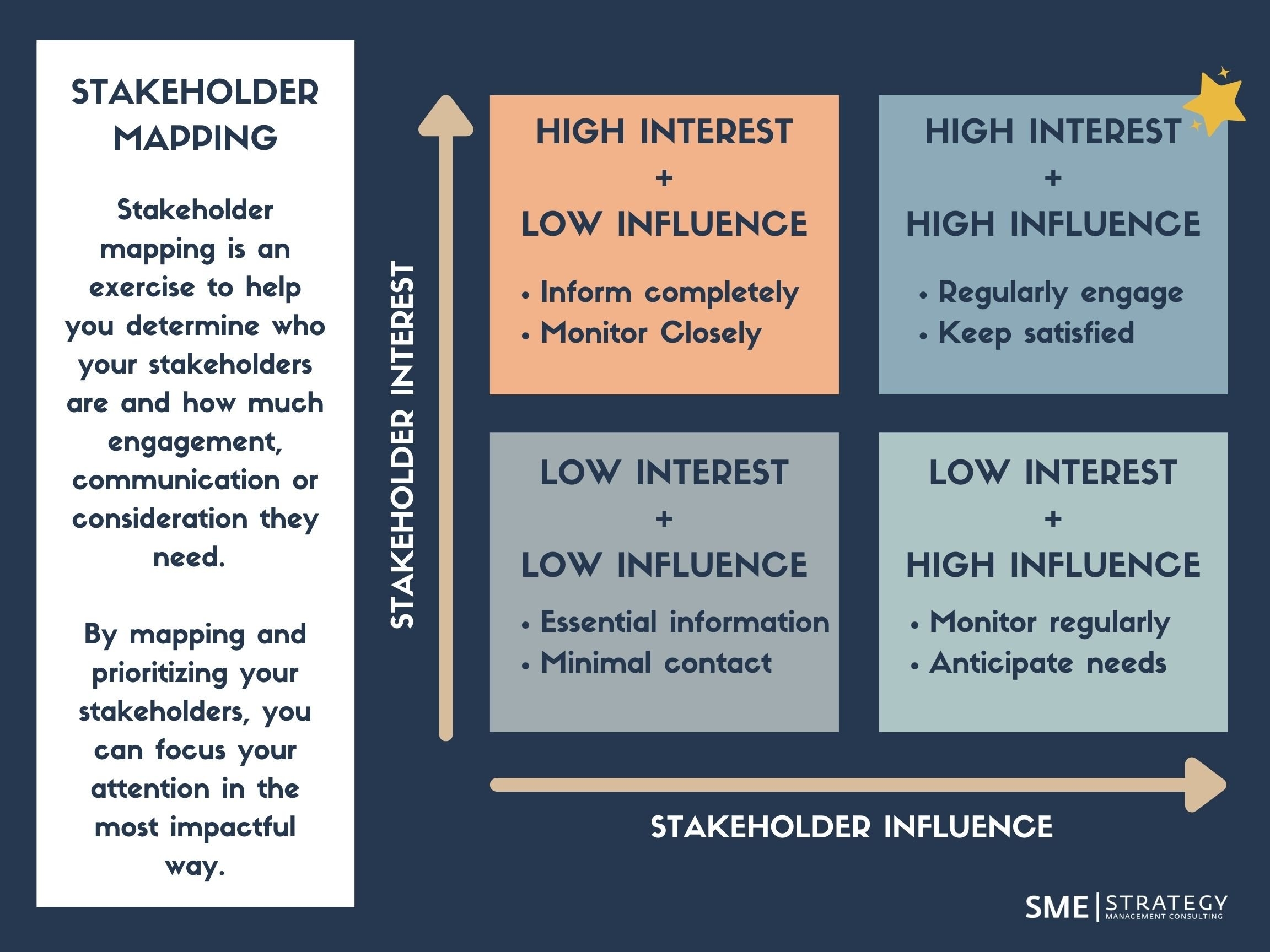 Stakeholder Management Plan Template