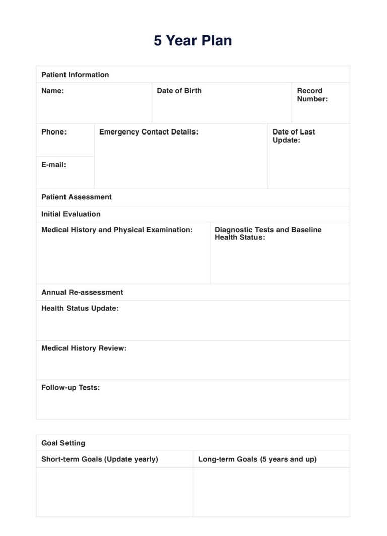 5 Year Plan Template U0026 Example Free PDF Download