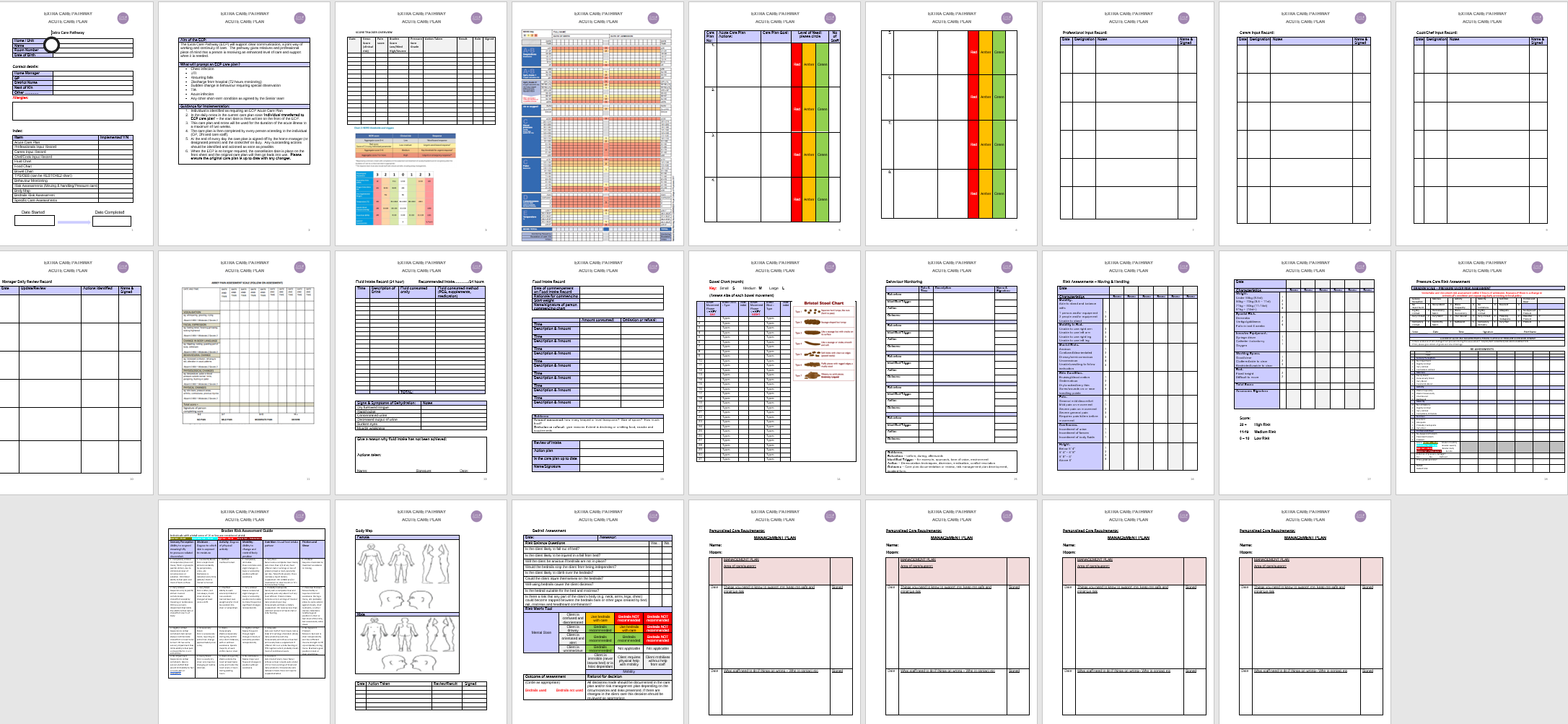Acute Care Plan E Template Booklet 25 99 Care 4 Quality