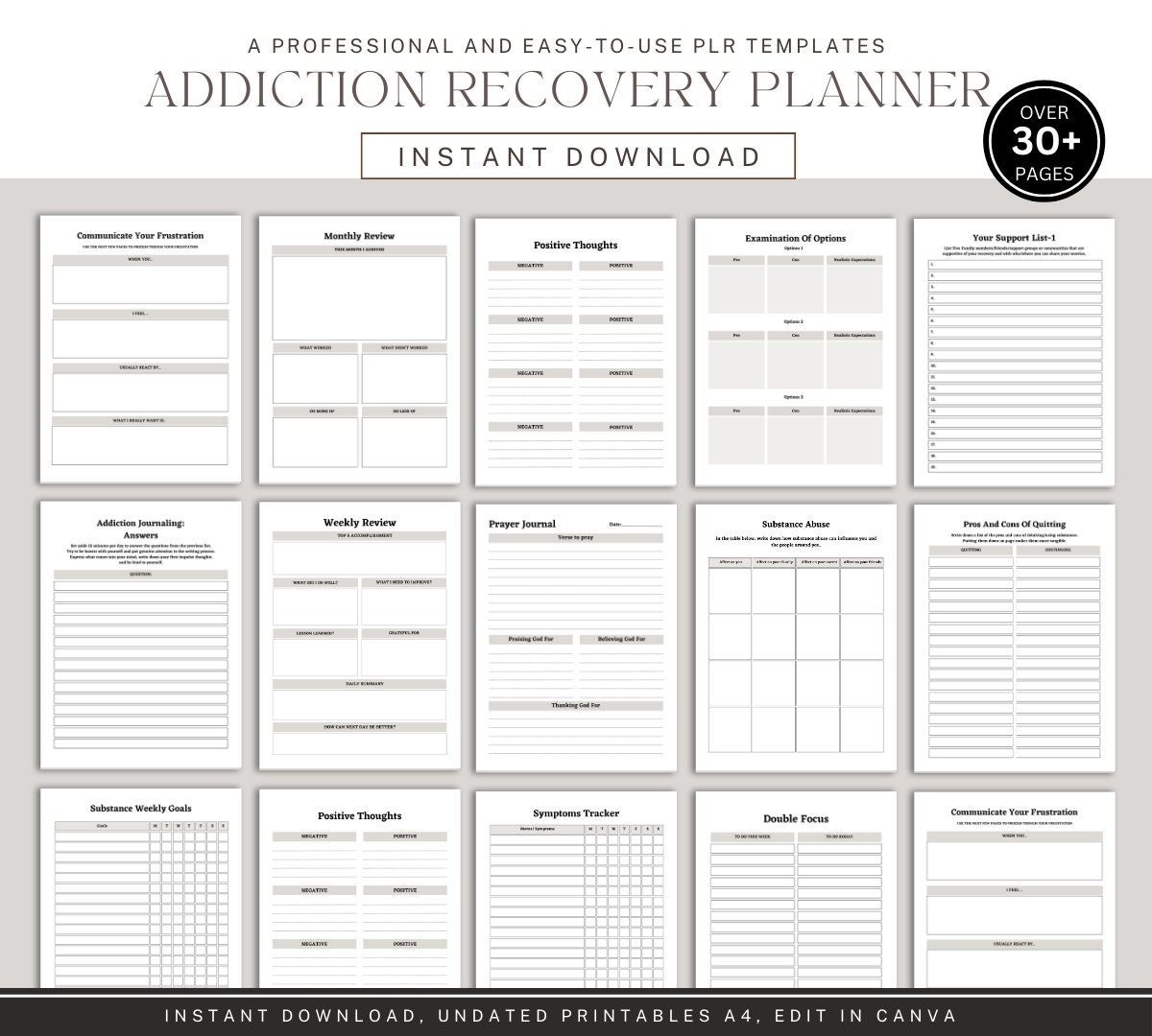 Addiction Recovery Plan Template
