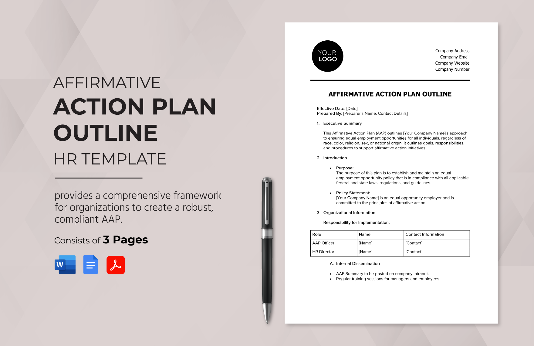 Affirmative Action Plan Outline HR Template In Word PDF Google Docs Download Template
