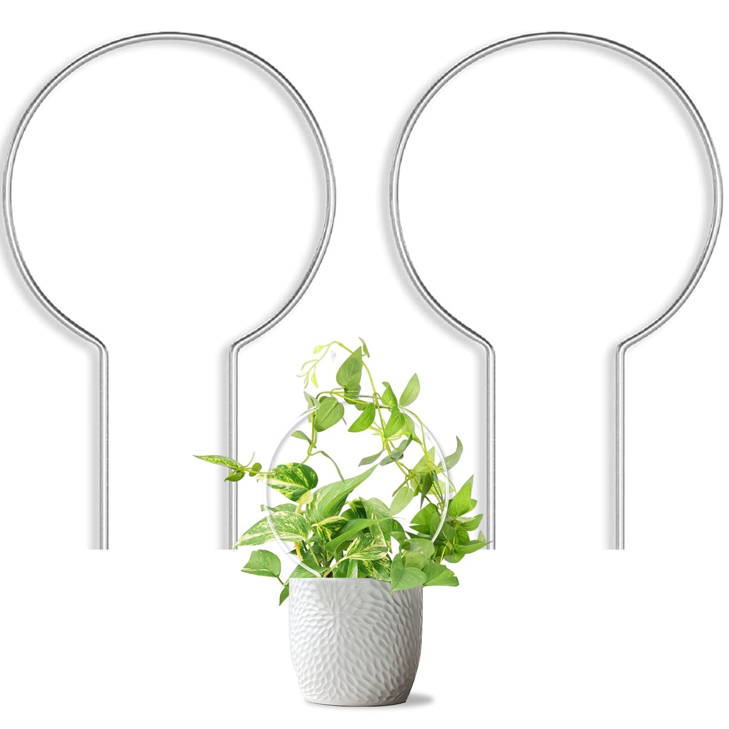 Amazon JETTIFY 2 Pack Round Plant Trellis For Potted Plants 