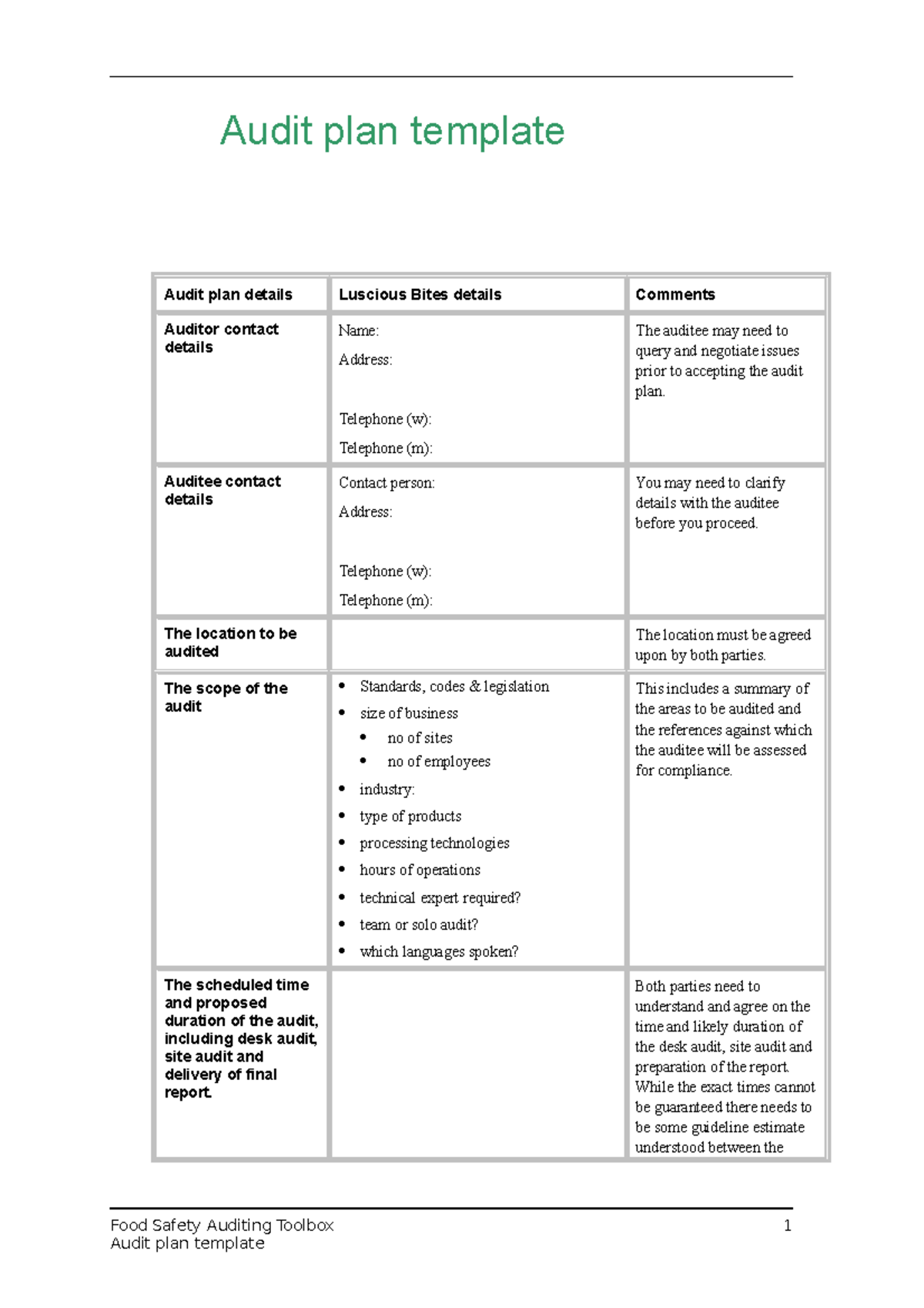 Audit Plan Template Www Audit Plan Template Audit Plan Details 