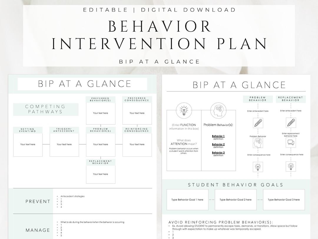 Behavior Intervention Plan BIP At A Glance Digital Download Editable ABA Therapy School Psychologist FBA Template Behavioral Etsy