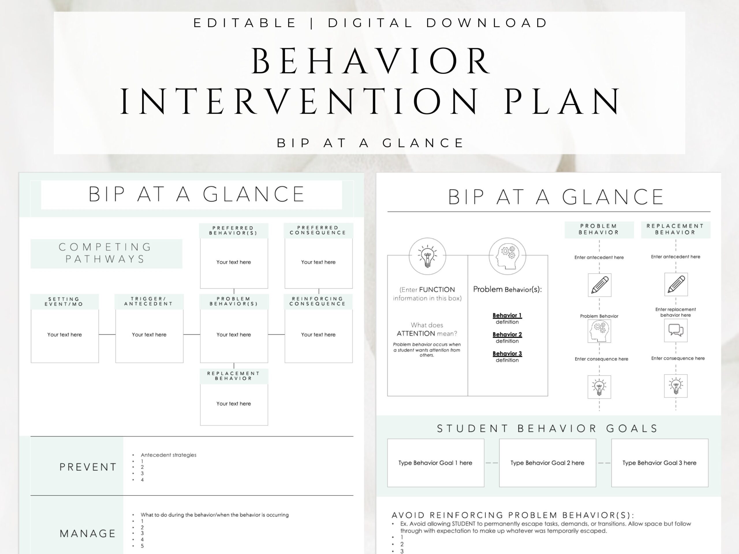 Behavior Intervention Plan BIP At A Glance Digital Download 