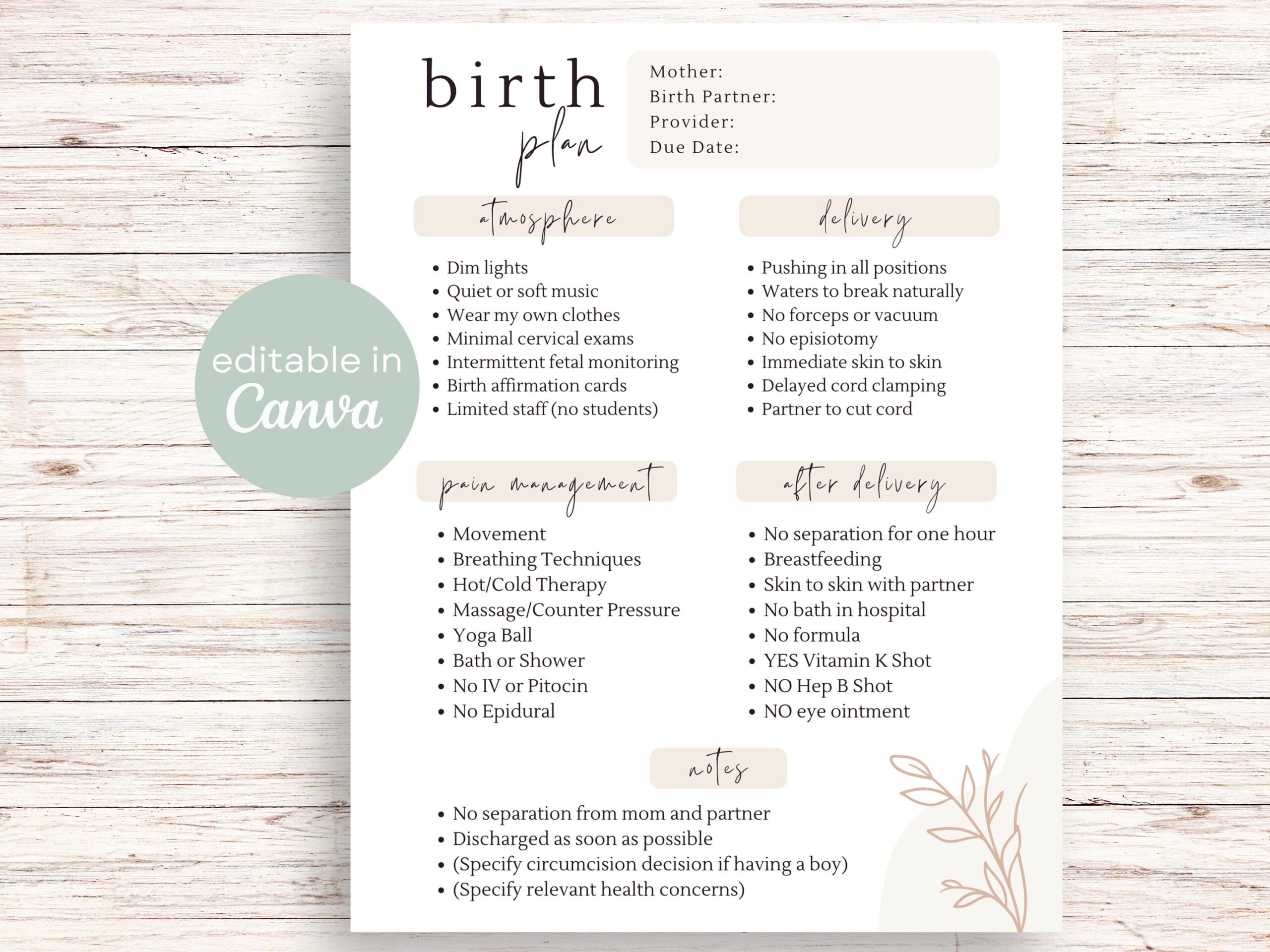 Birth Plan Template Editable Birth Preferences On Canva Printable Birthing Plan Template Birth Plan Checklist Natural Birth Boho Etsy