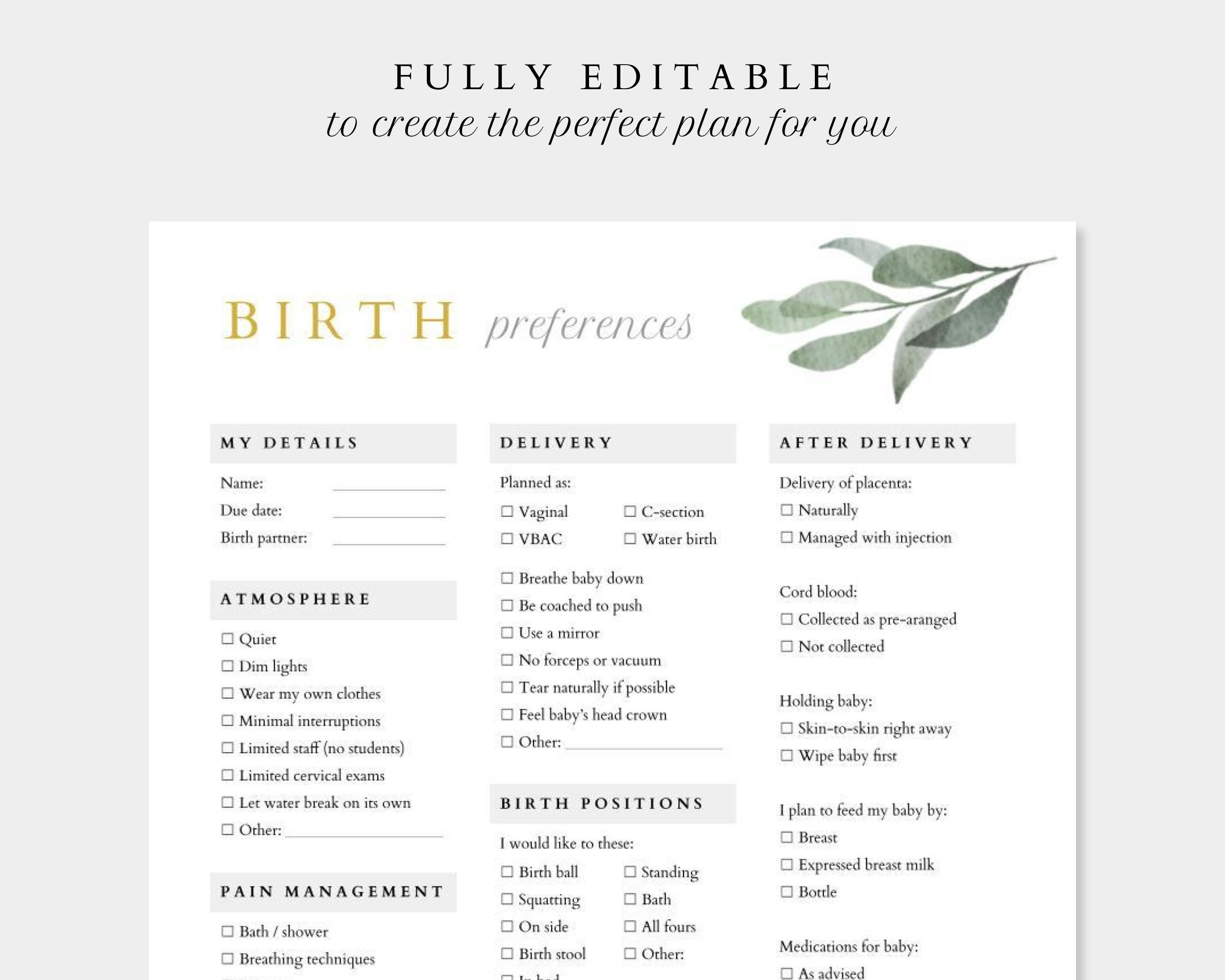 Birth Plan Template For Canva Word Google Docs Google Slides Etsy