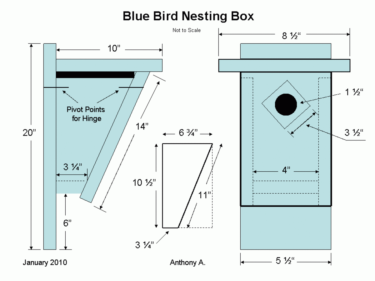 Bluebird Birdhouse Plans How To Build A Peterson Slant Front Style Bluebird House HubPages