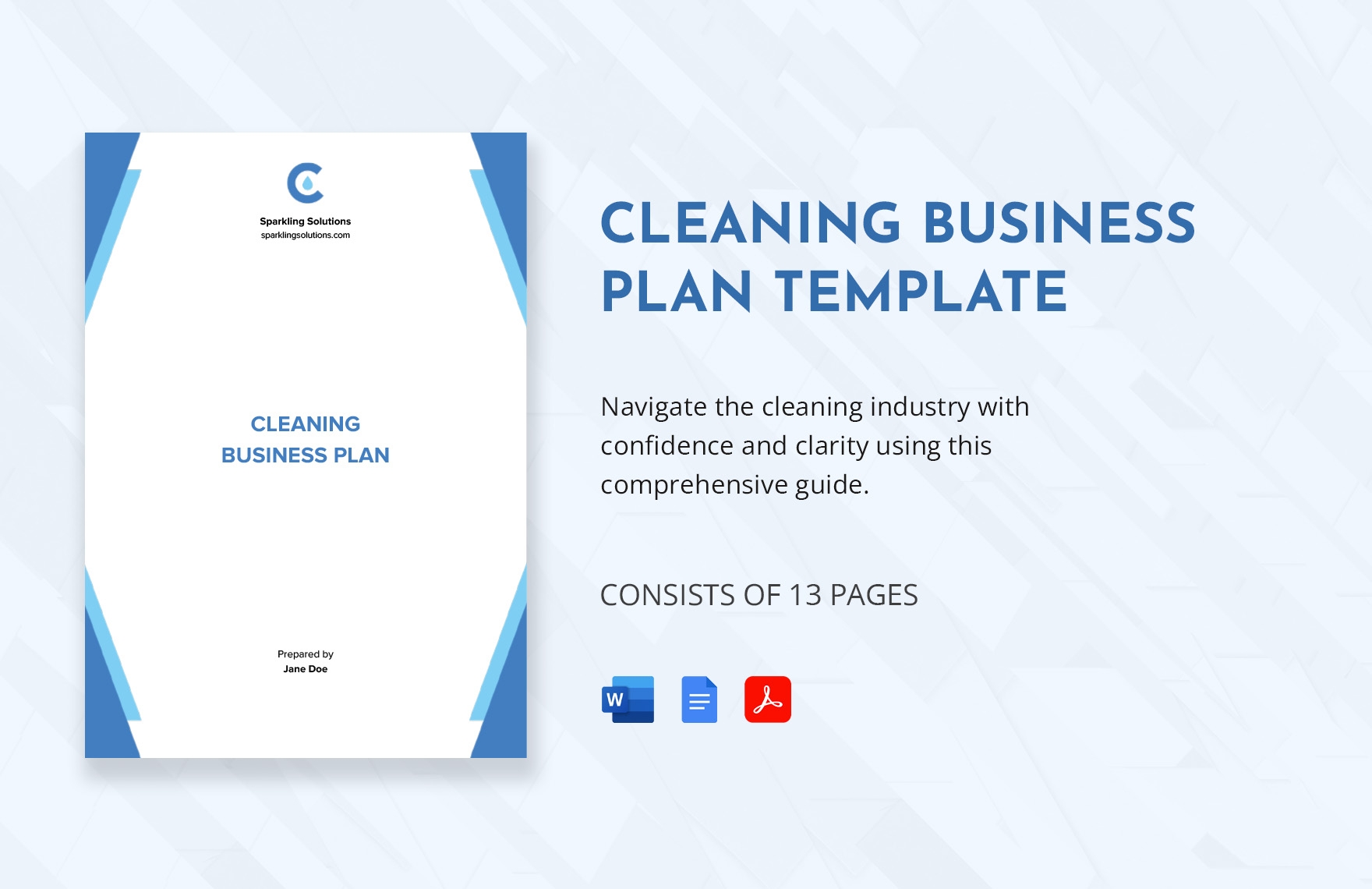 Cleaning Business Plan Template In Word PDF Google Docs 