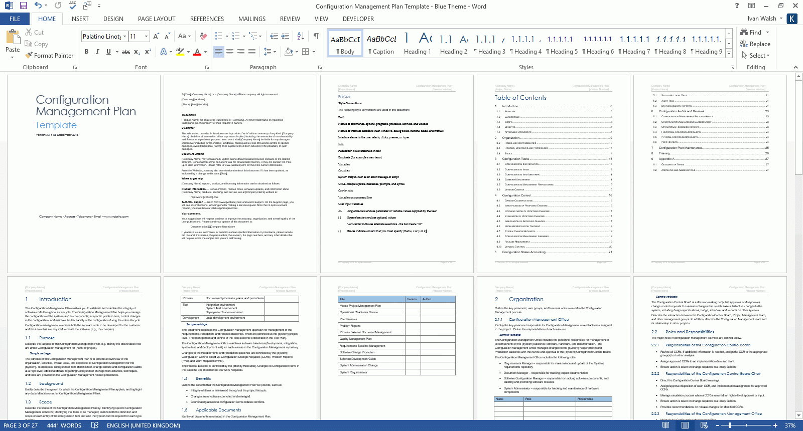 Configuration Management Plan Templates MS Office 