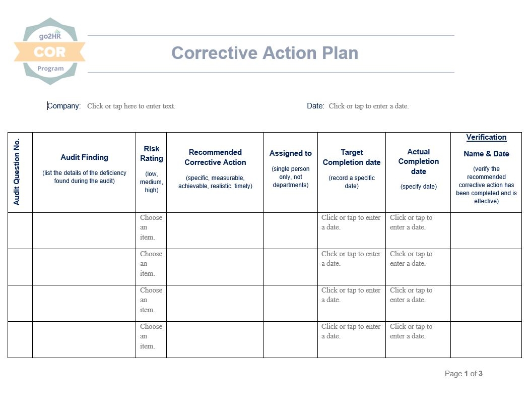 Cms Corrective Action Plan Template