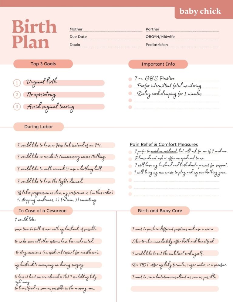 Create Your Perfect Birth Plan Free Template U0026 Checklist Baby Chick
