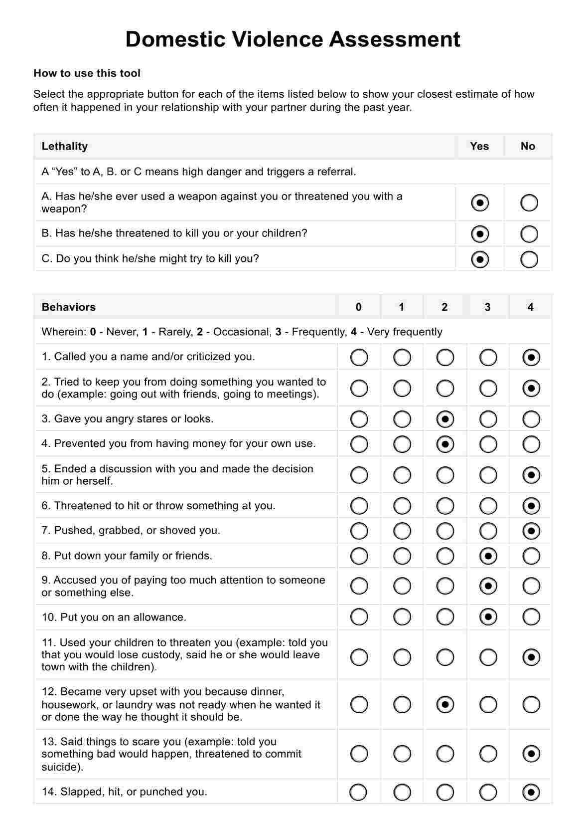 Ipv Safety Plan Template