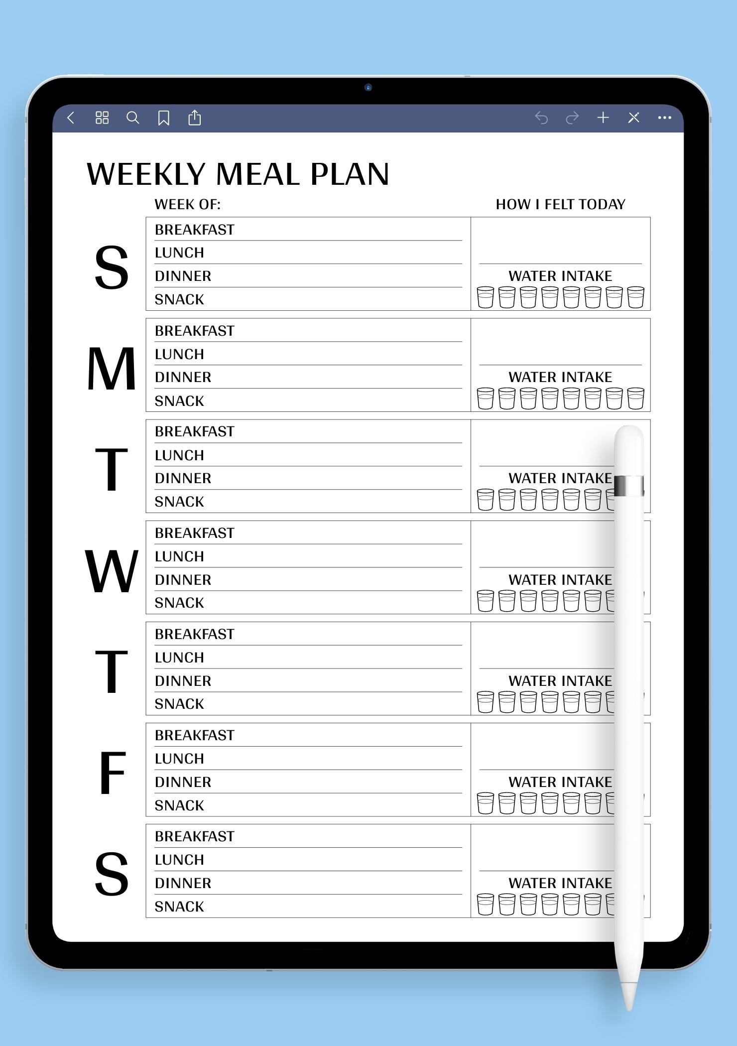 Meal Plan Budget Template