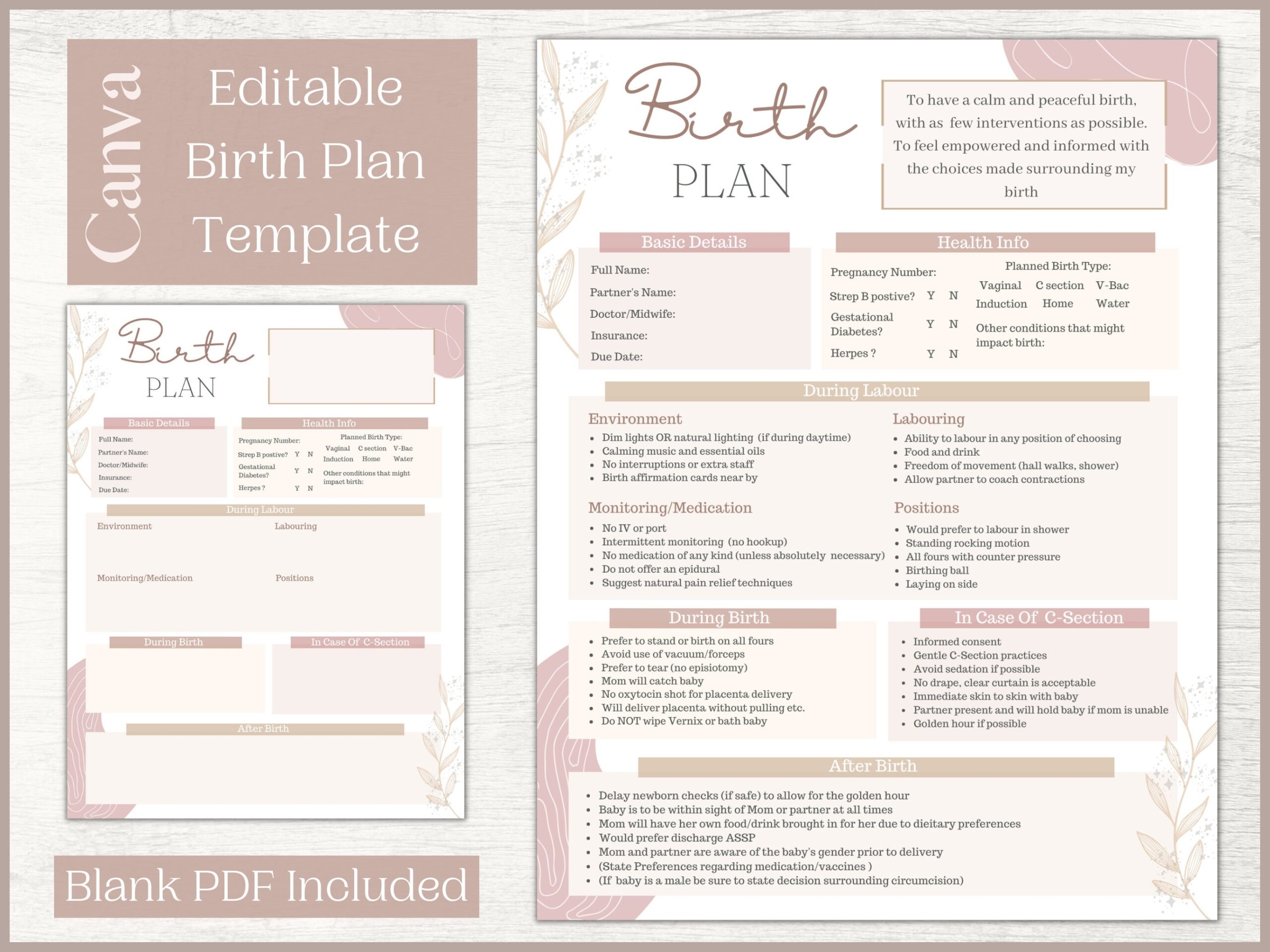Editable Birth Plan Template Printable Birthing Plan Labour 