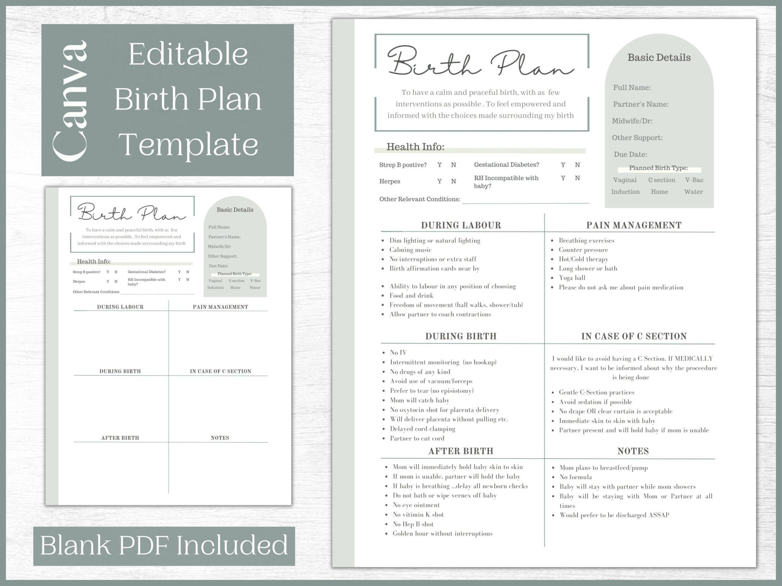 Birth Plan Template Uk