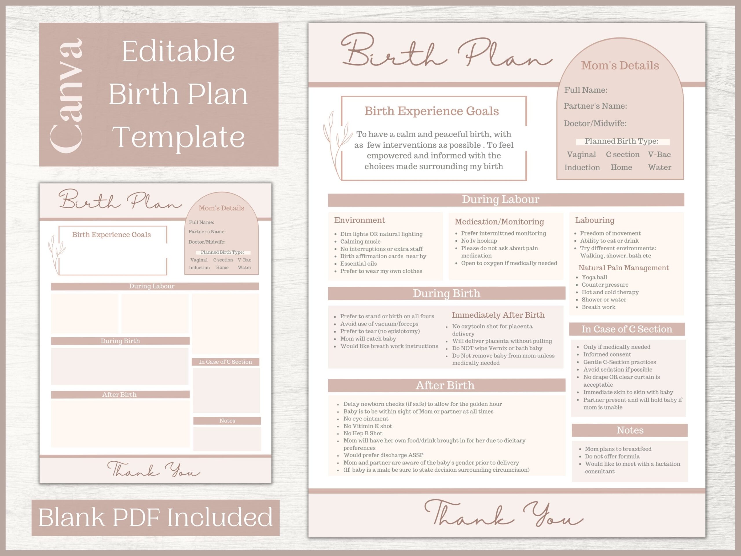 Editable Birth Plan Template Printable Birthing Plan Labour 