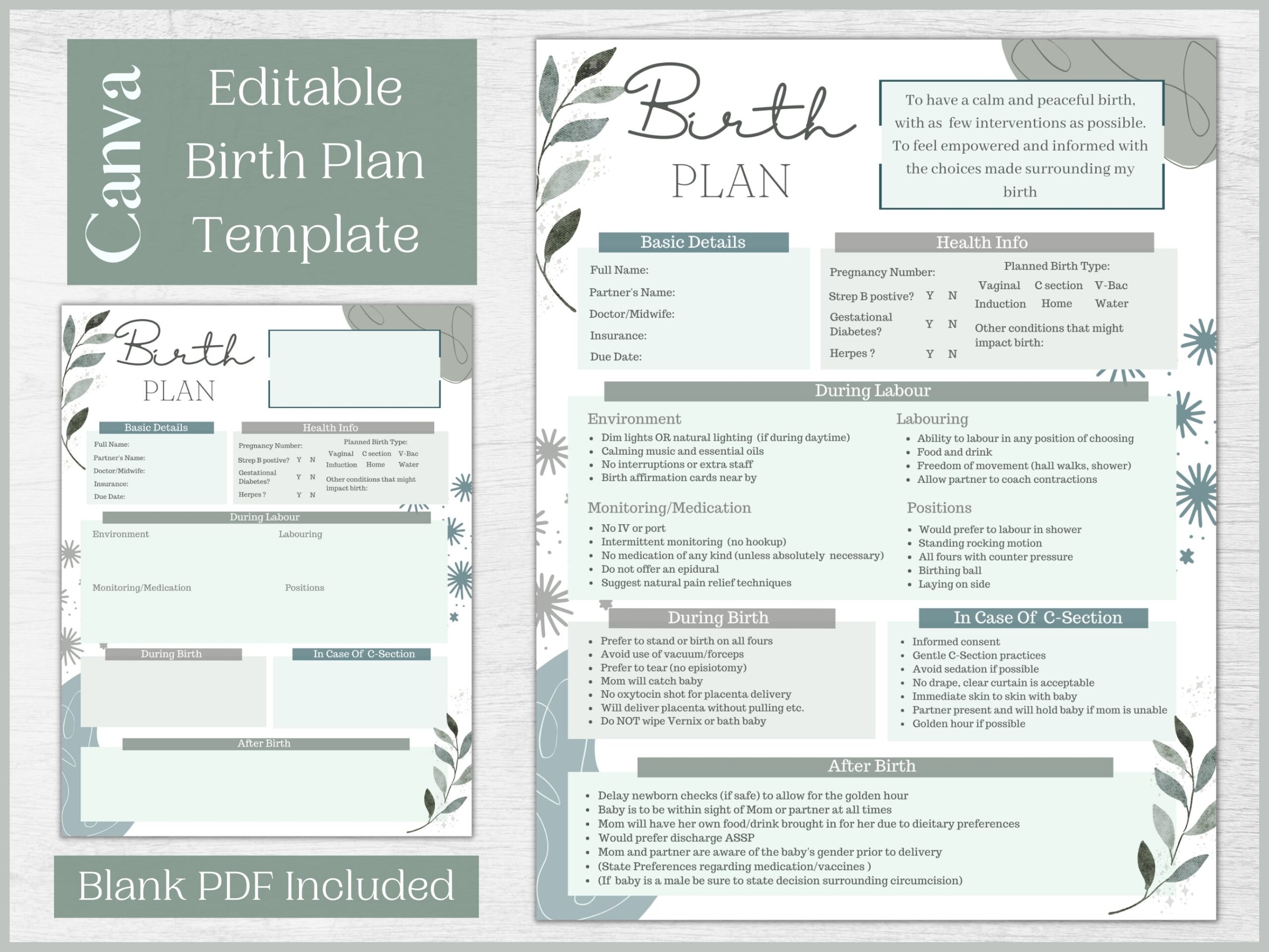 Editable Birth Plan Template Printable Birthing Plan Labour 