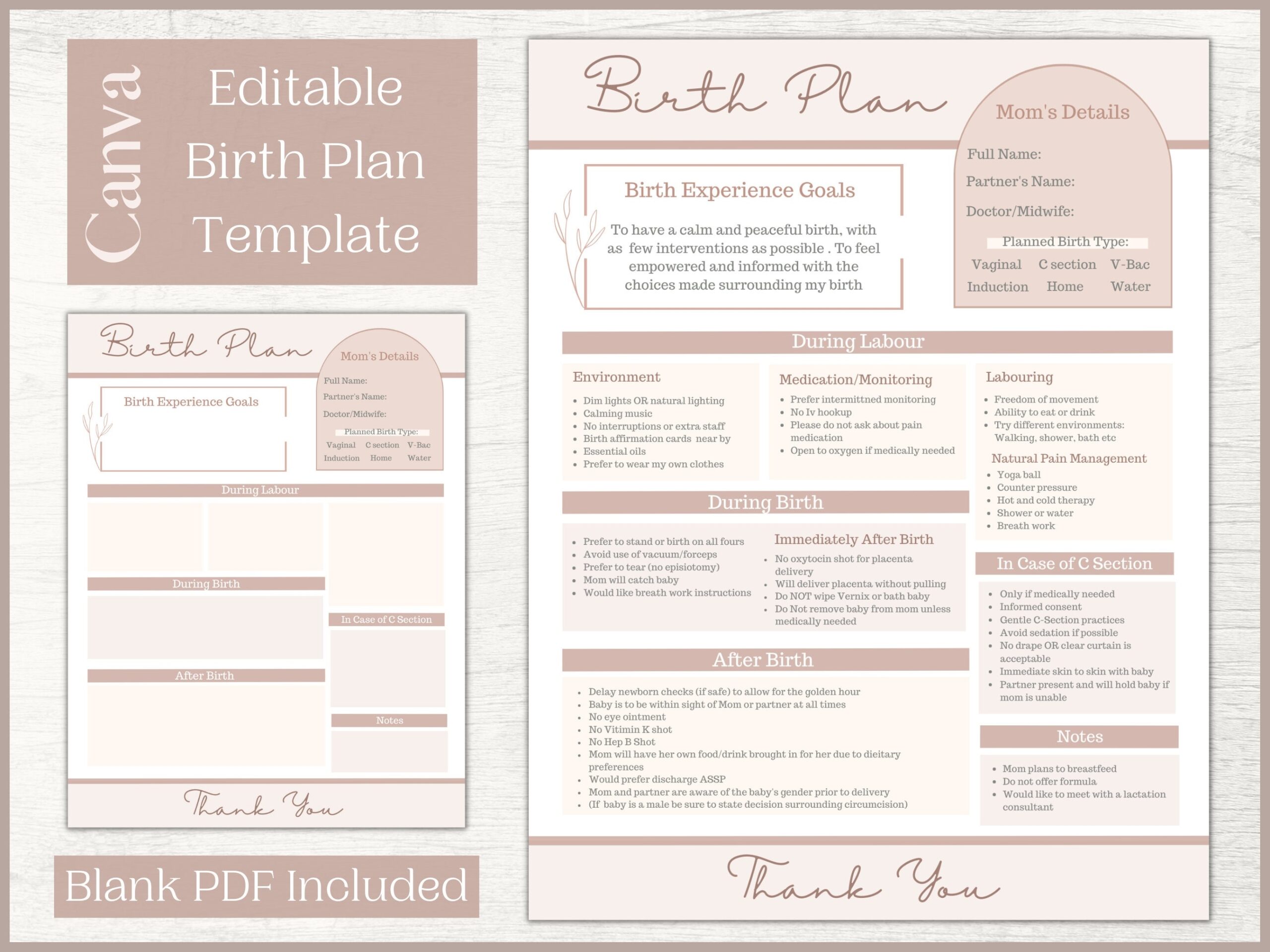 Editable Birth Plan Template Printable Birthing Plan Labour And Delivery Preferences Template Etsy