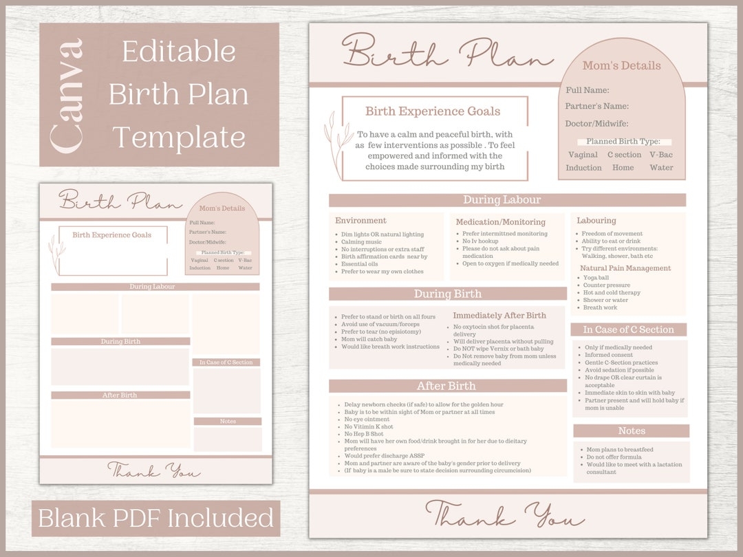 Editable Birth Plan Template Printable Birthing Plan Labour And Delivery Preferences Template Etsy UK
