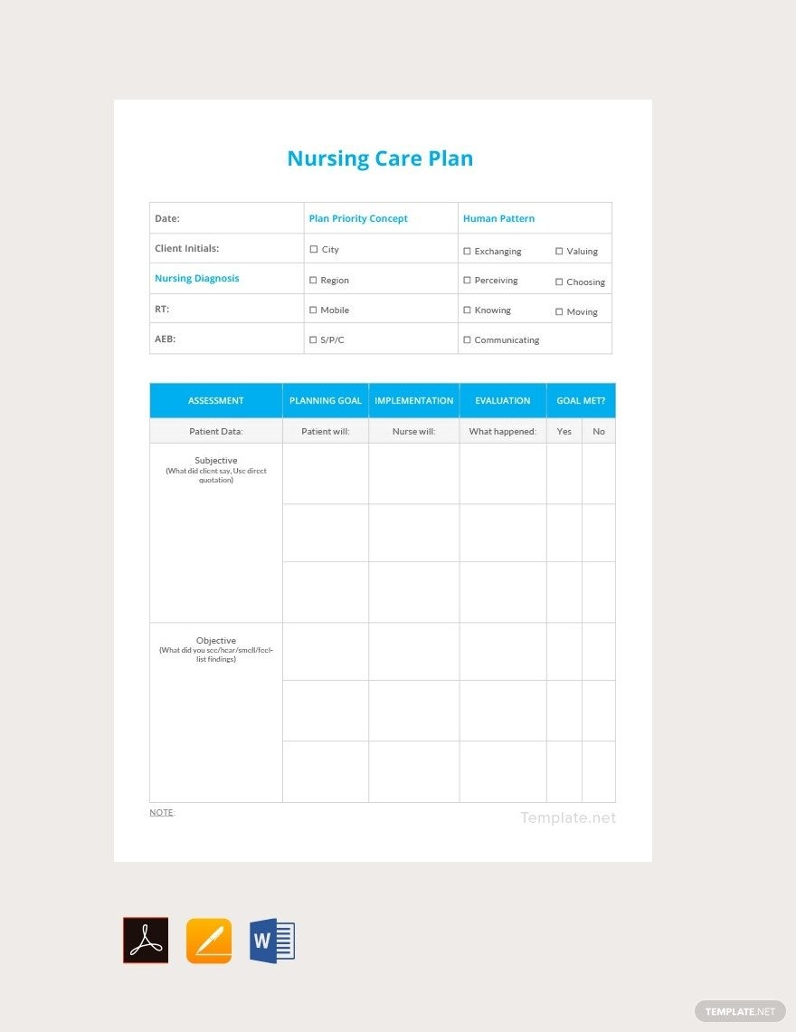 Editable Care Plan Templates In PDF To Download