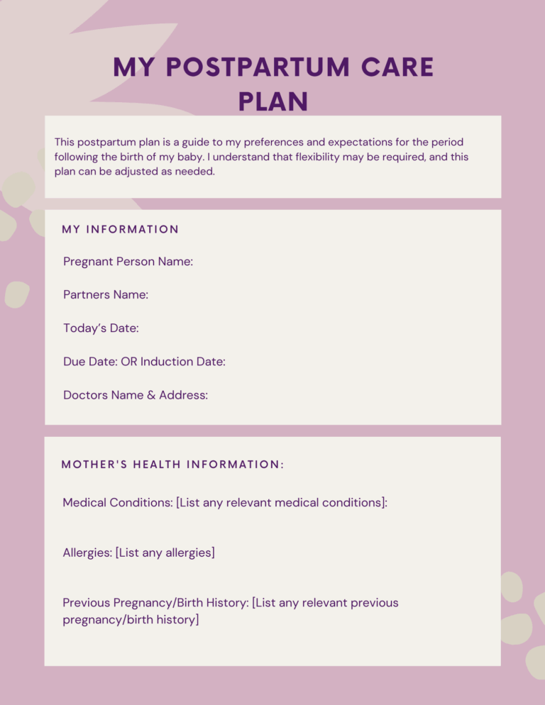 Editable Sample Postpartum Care Plan Template Newmom me