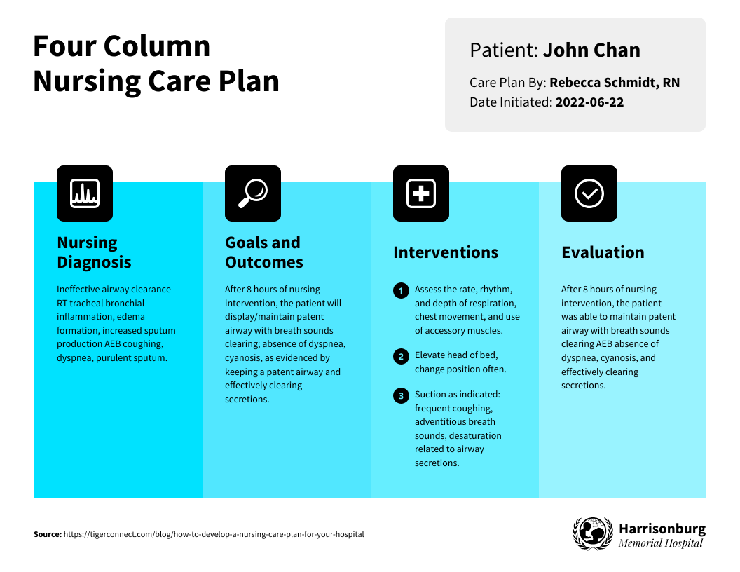 Four Column Nursing Care Plan Template Venngage