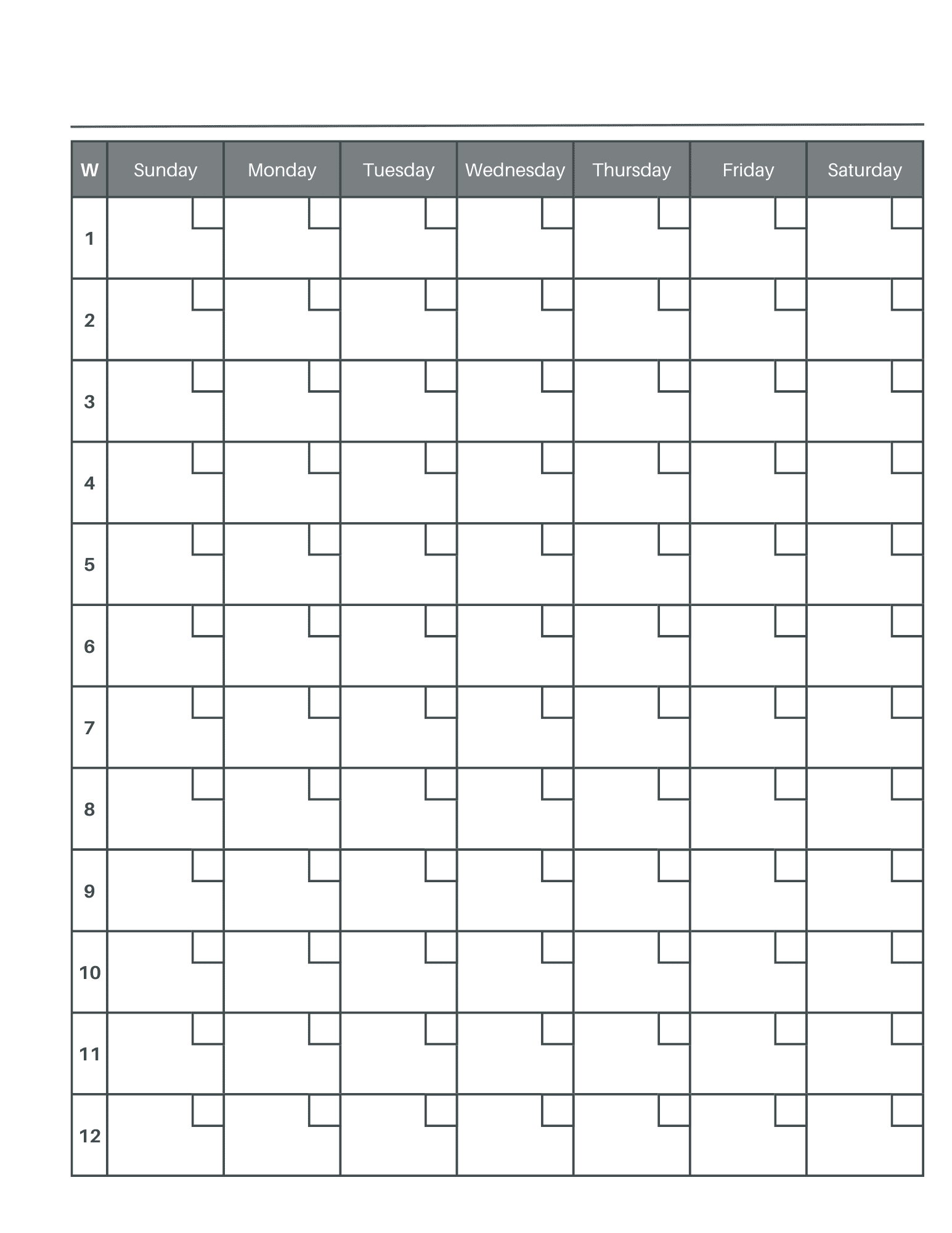 12 Week Plan Template