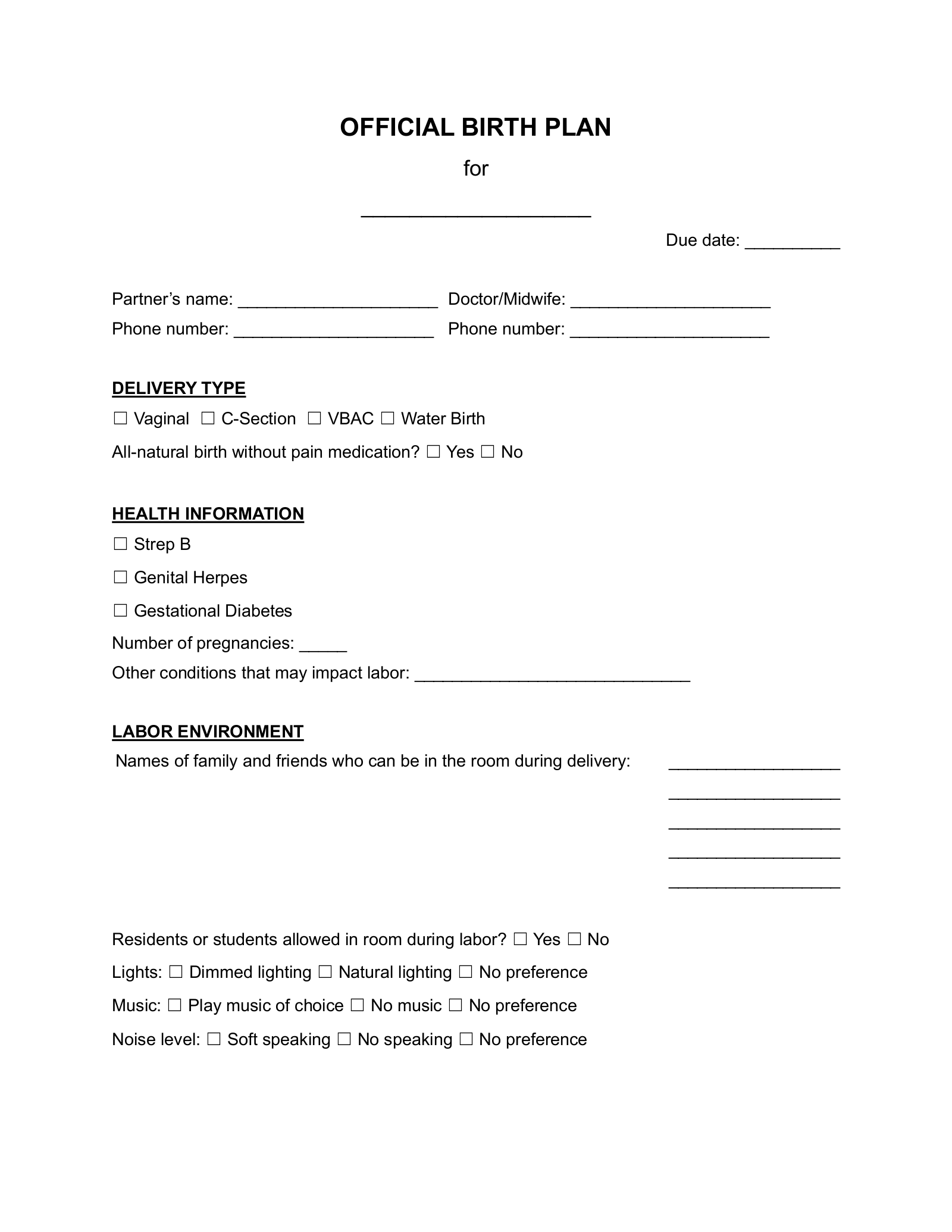 Free Birth Plan Template Word