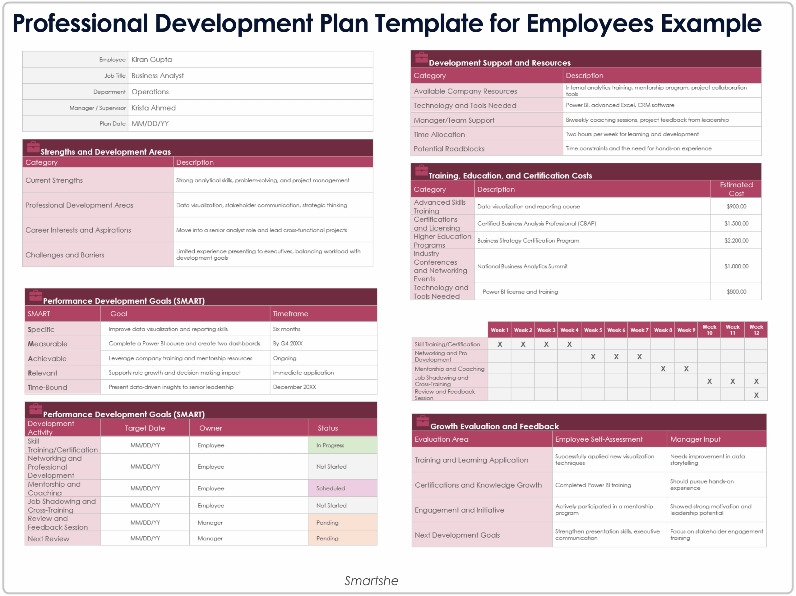 Employee Development Plan Template