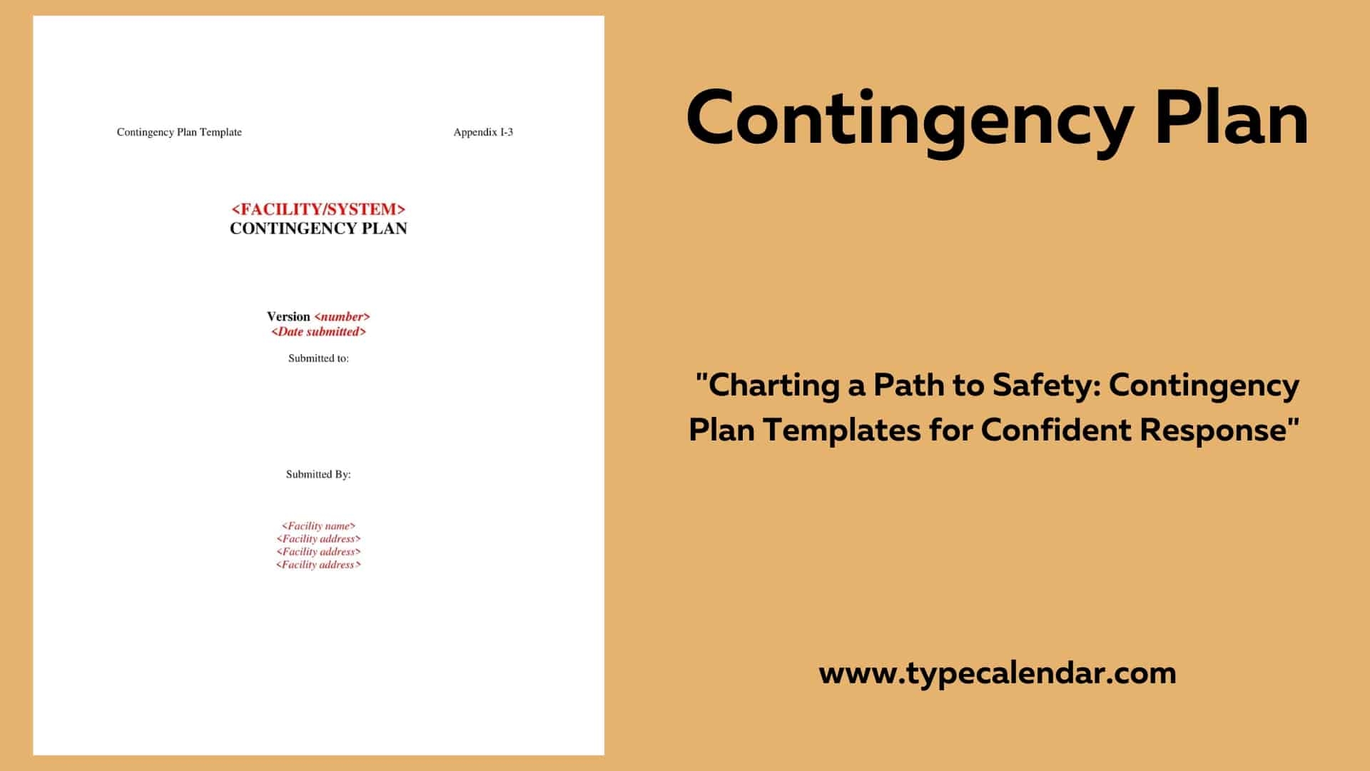 Contingency Plan Template