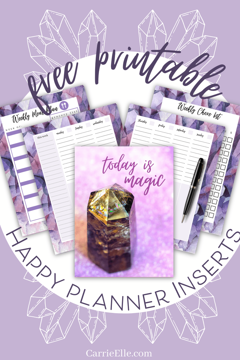Free Printable Inserts For Happy Planner Crystal Day Planner Carrie Elle