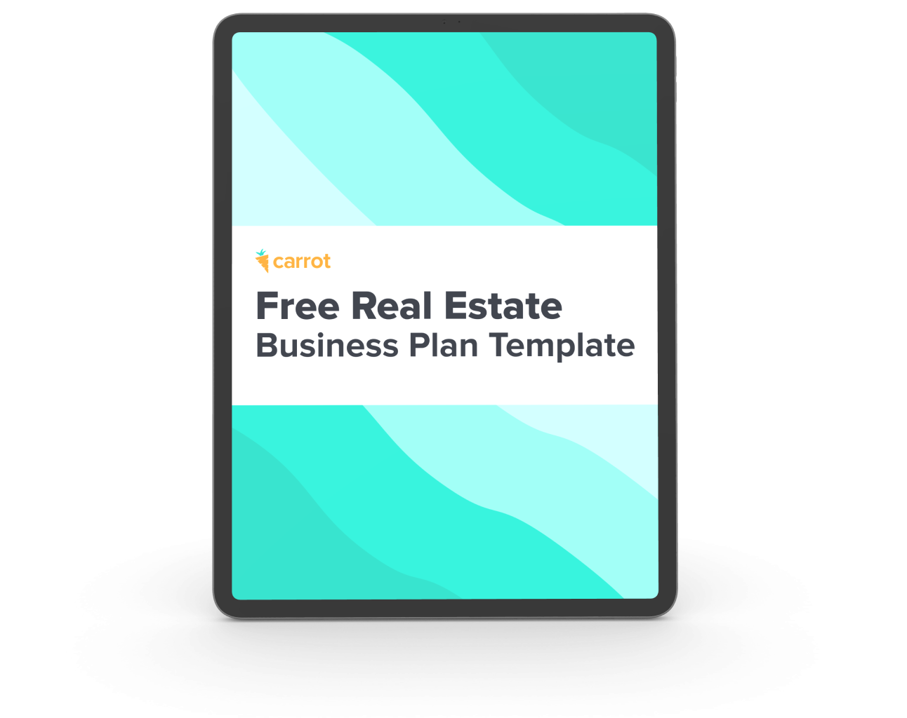 Free Real Estate Business Plan Template Carrot