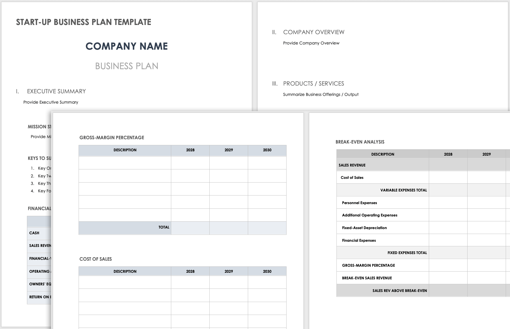 Accounting Business Plan Template