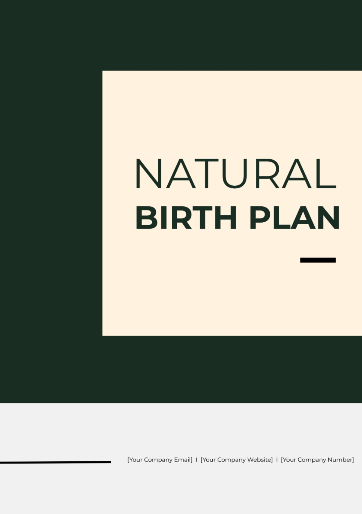 Birth Plan Template The Bump