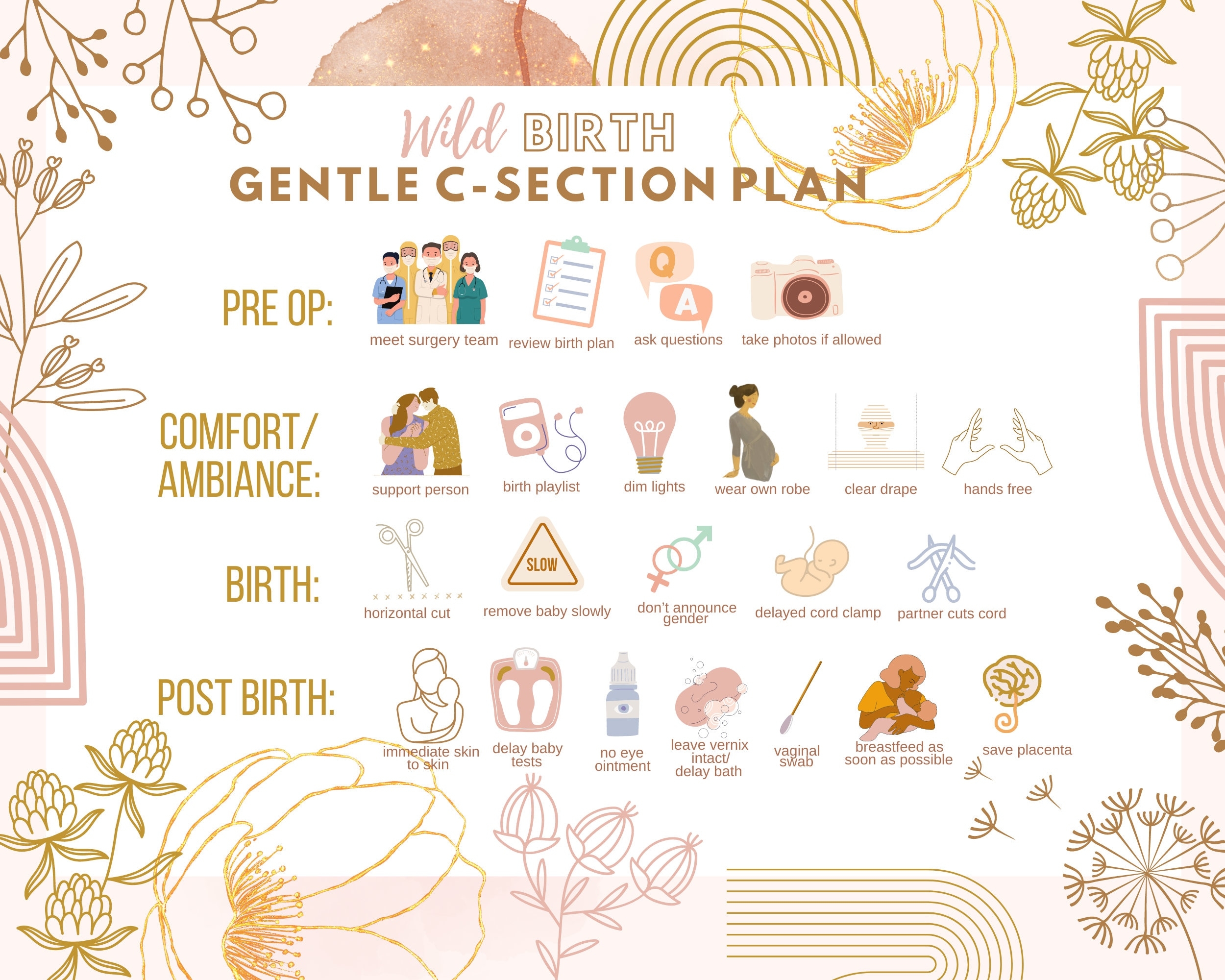 Gentle C section Birth Plan L Visual Birth Plan L Birth Plan Template Editable L VBAC Prep L DIGITAL Download Etsy