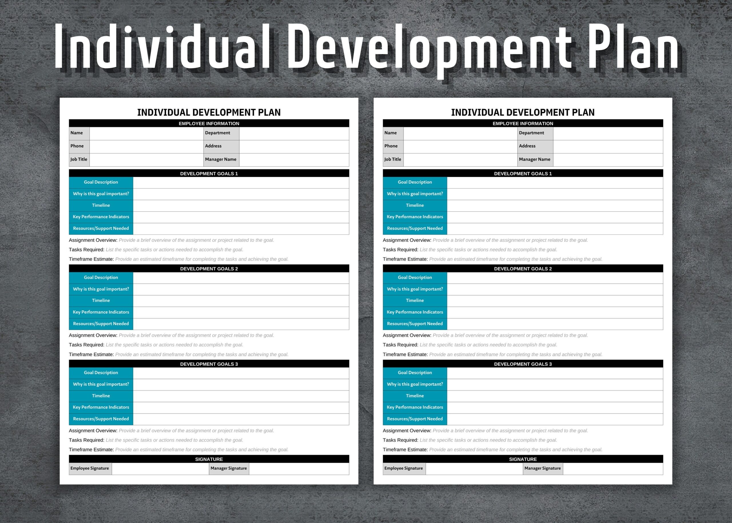 Individual Development Plan Printable Developing Employees HR Templates Human Resources Business Tools Performance Review Goals Etsy Australia