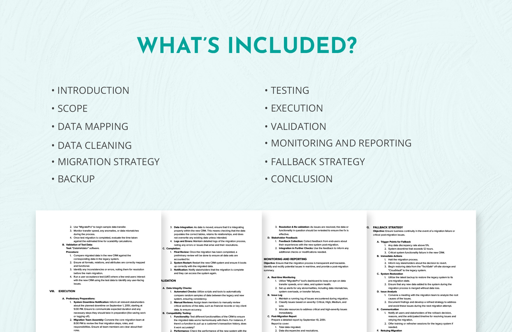 Data Migration Plan Template
