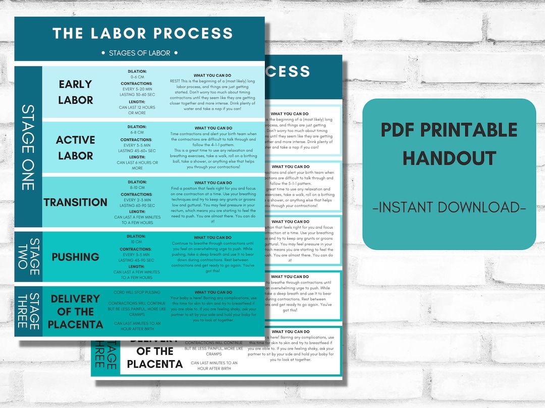 Labor Process Stages Of Labor Handout Printable PDF Birth Education Labor And Delivery Etsy