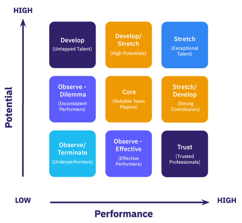 Leadership Development Plan Template