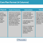 Nursing Care Plan NCP Ultimate Guide U0026 List 2025 Update 